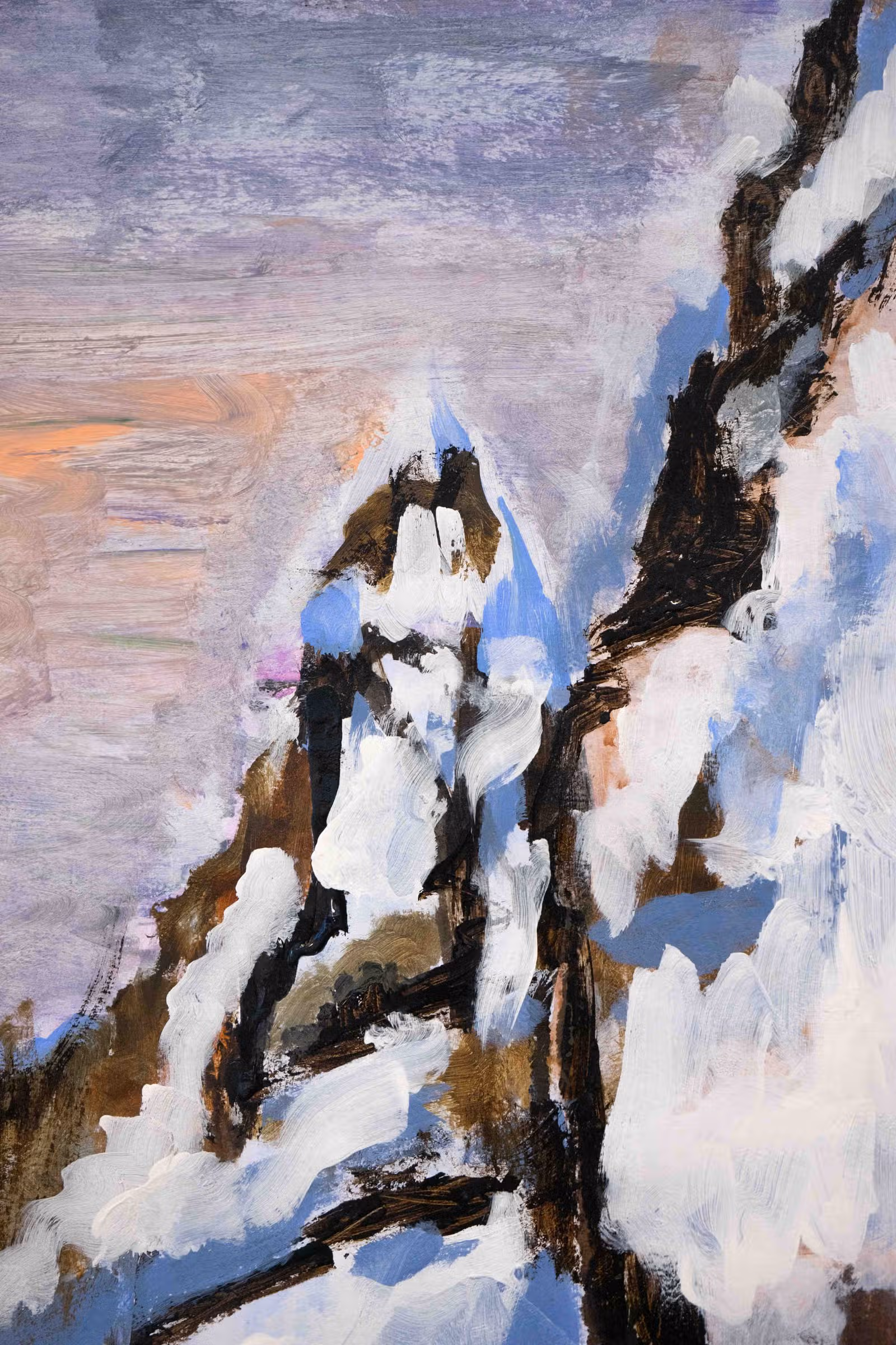 Detail — bergtop