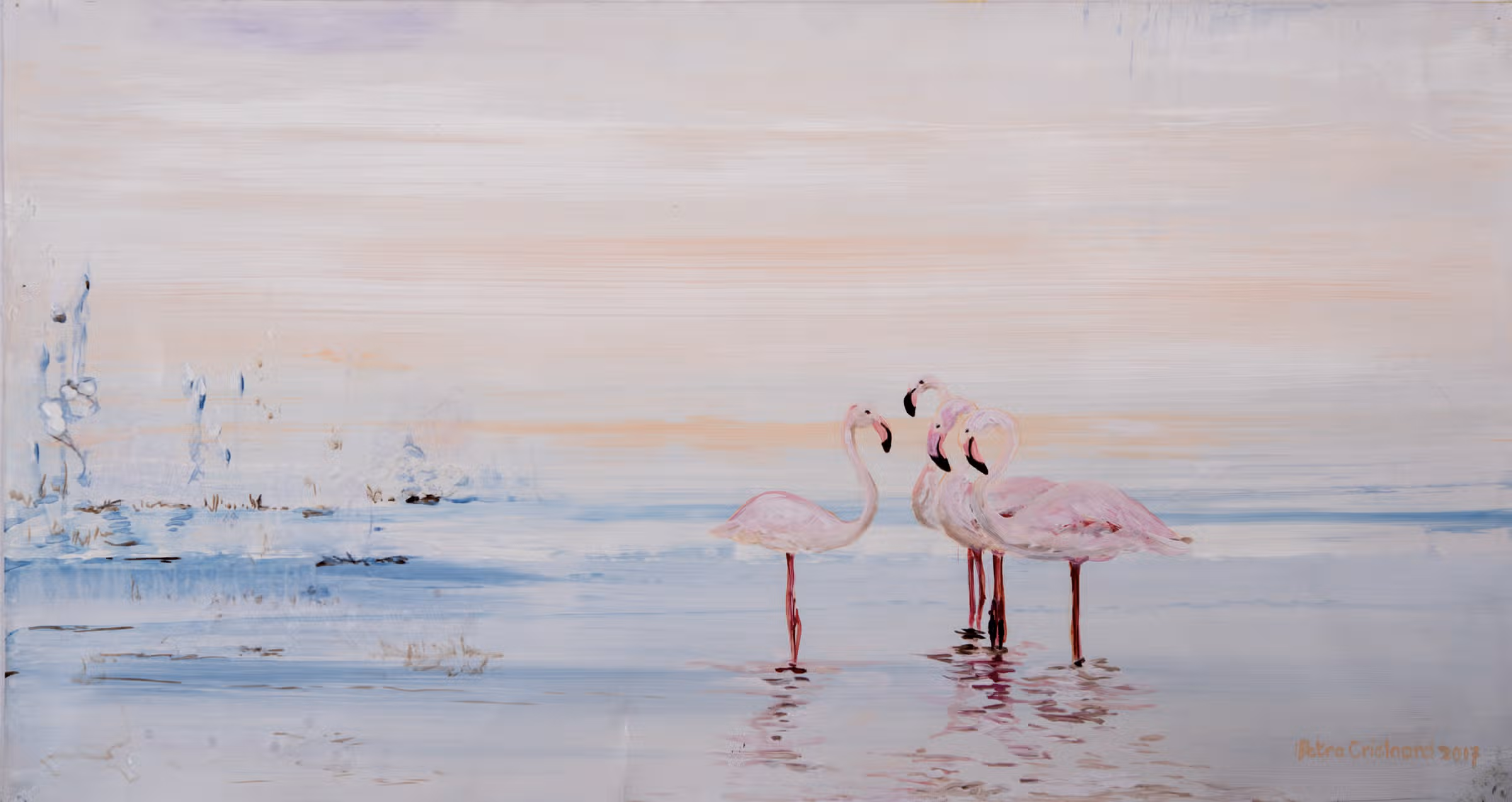 Flamingo’s