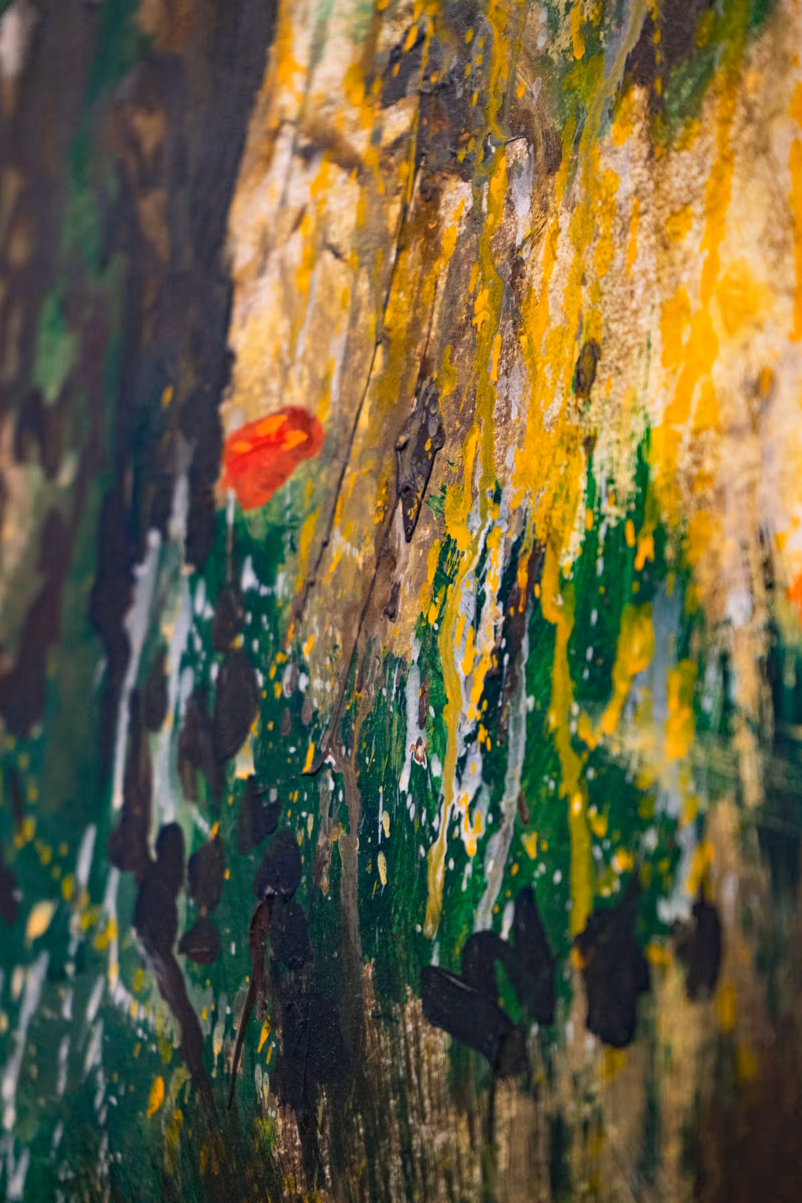 Detail — rood geel