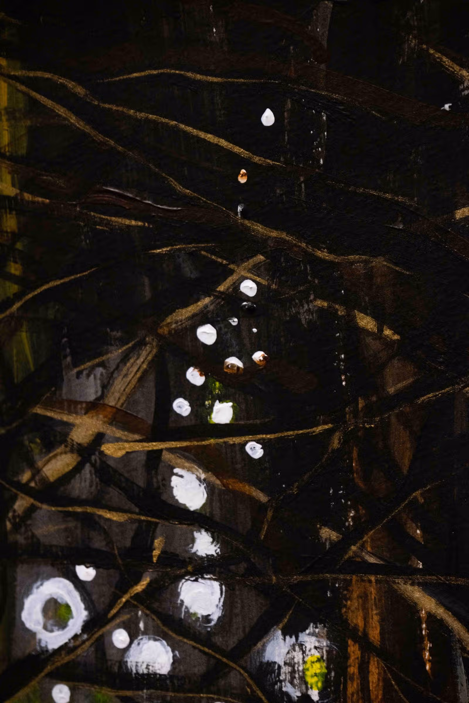 Detail — lichtjes donker