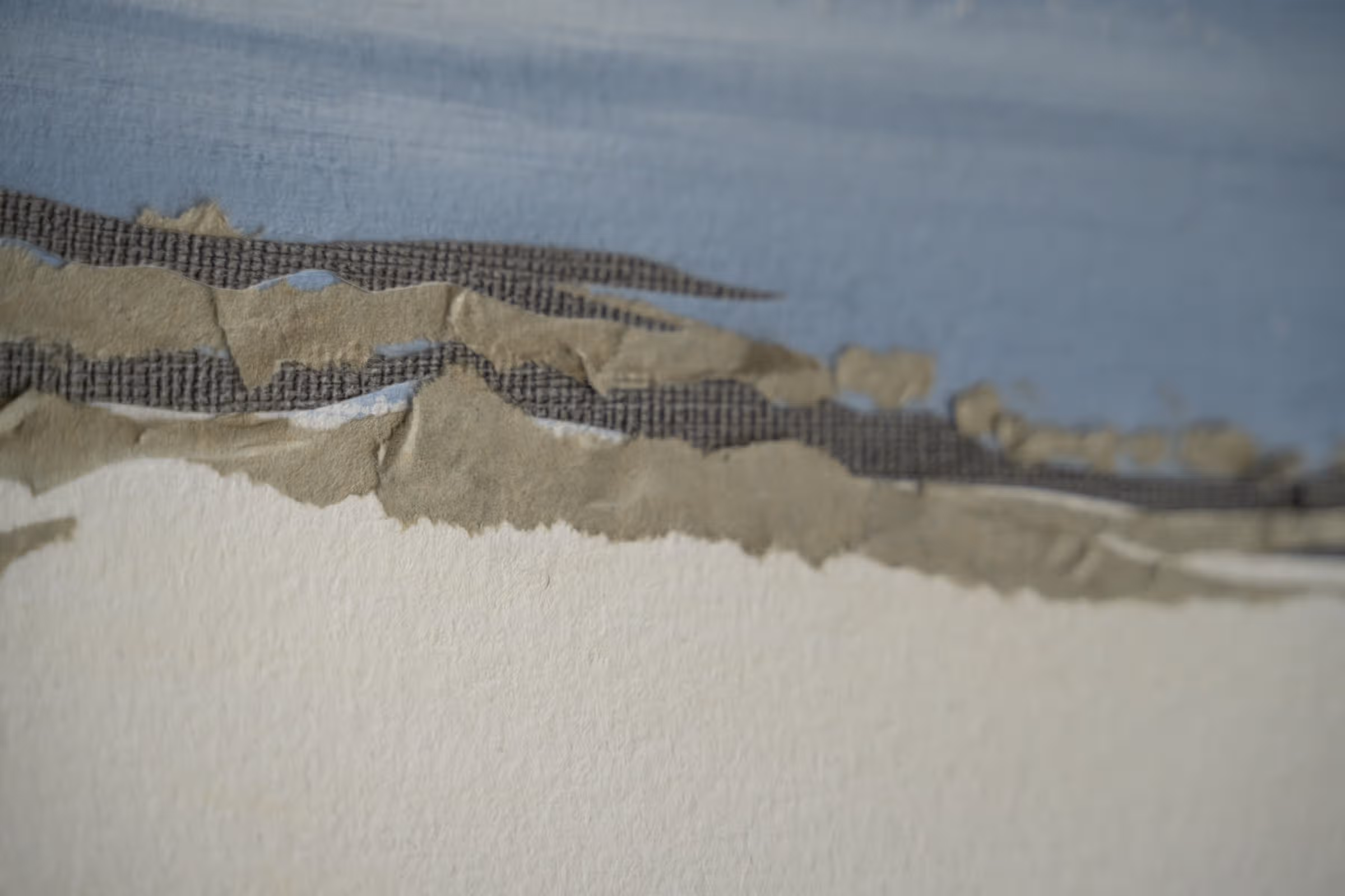 Detail — kust