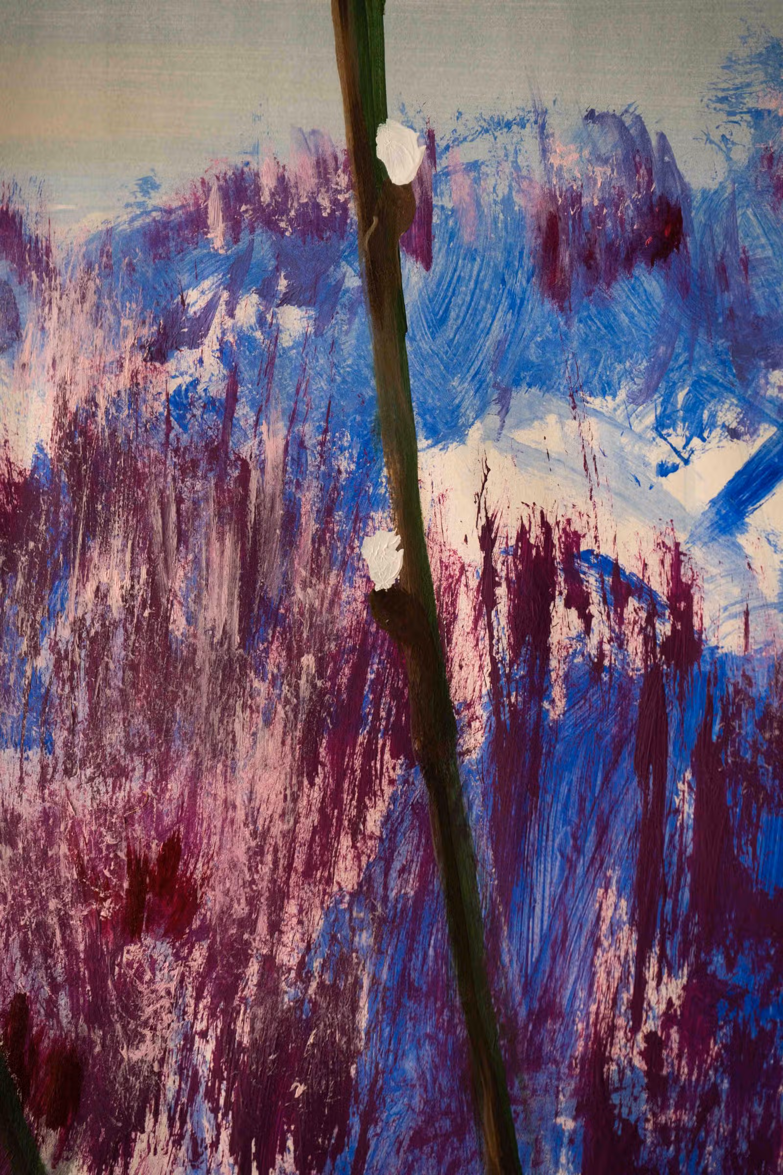 Detail — katjes