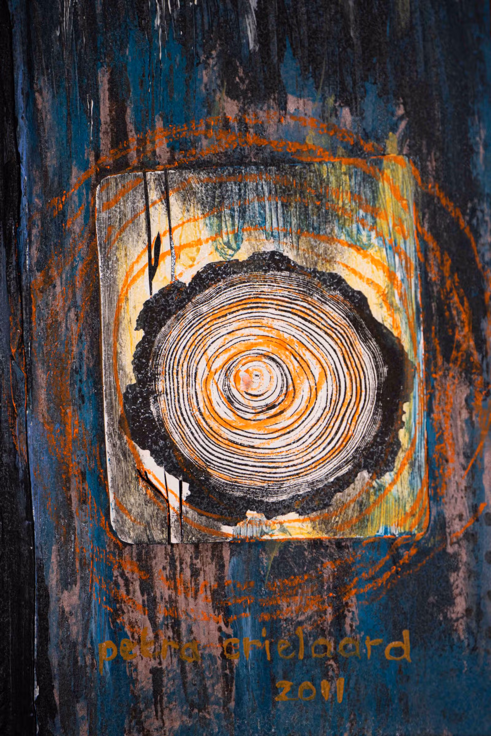 Detail — boomdoorsnede