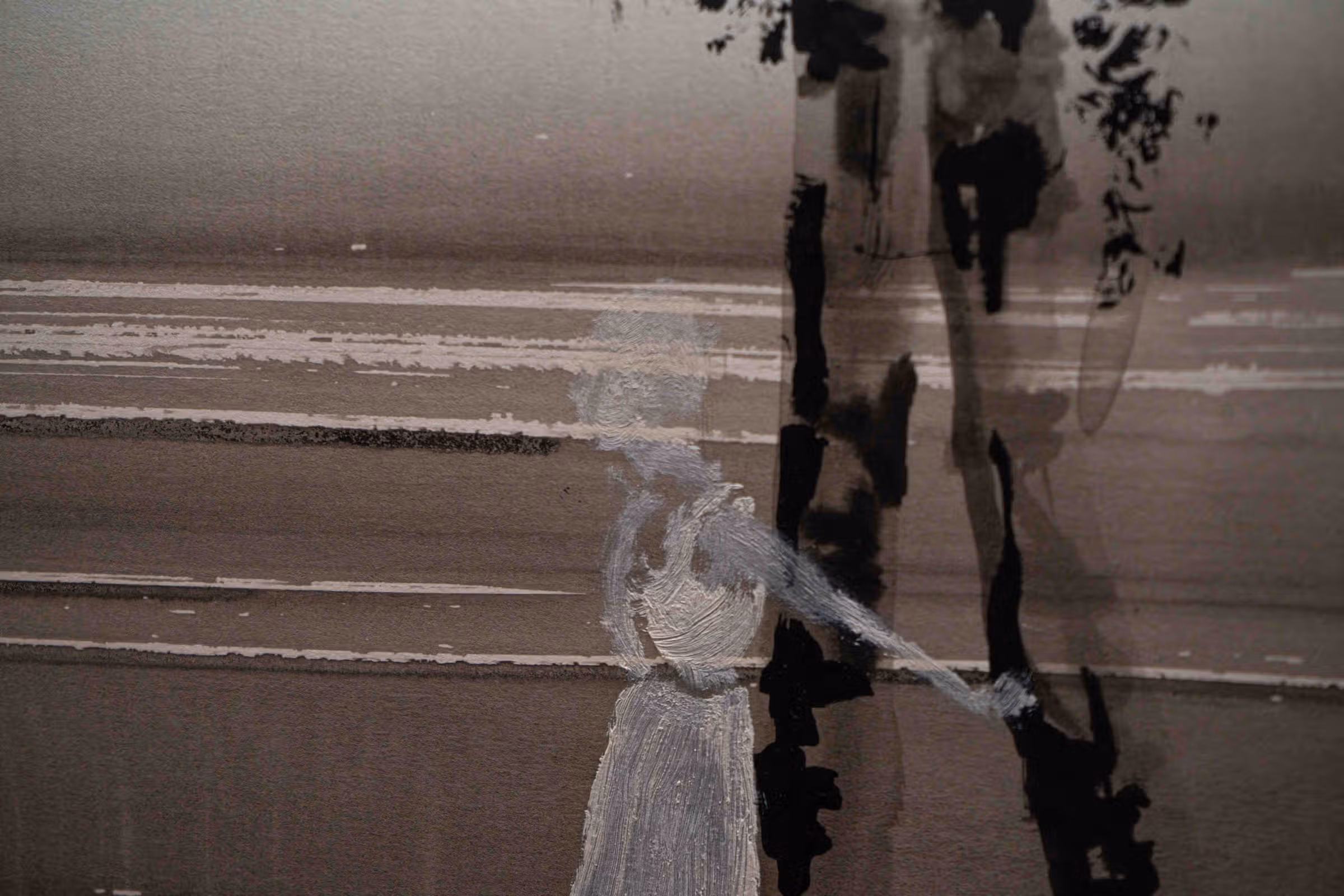 Detail — vrouwtje zwartwit vrouwtje